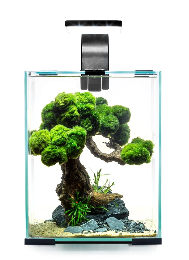 Shrimpset Day and Night 30 L akvarium 29x29x35 cm Sort